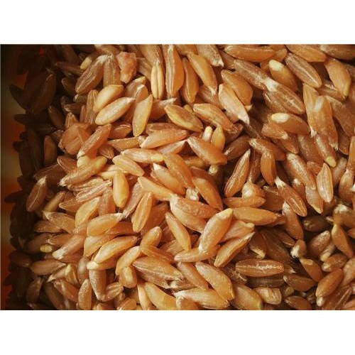 Golden 25kg and 30kg Khapali Wheat