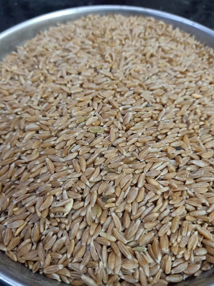 50 Kg Samba Wheat /Khapli Wheat