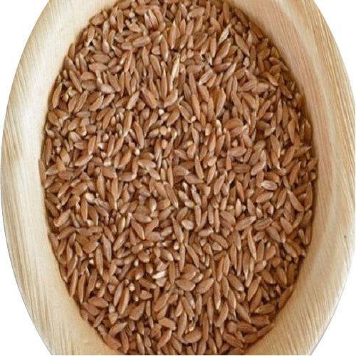 Golden 25 Kg Organic Khapli Wheat