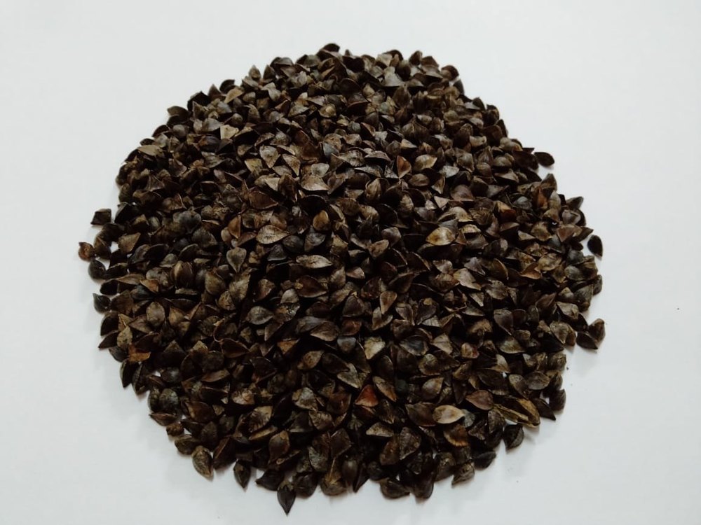 50 Kg Buck Wheat