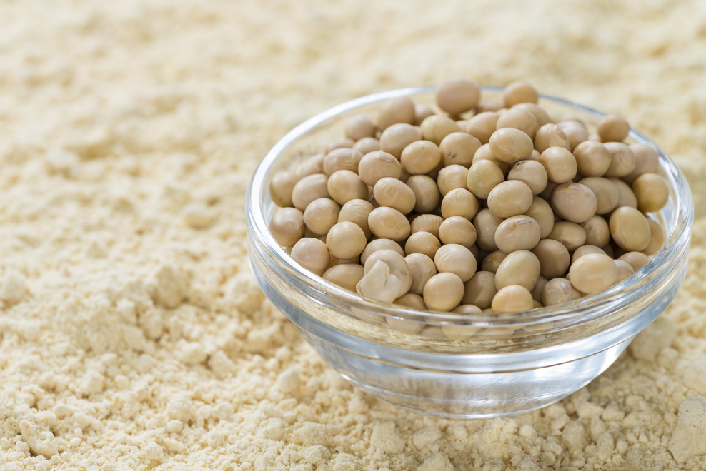 NUTRA HEALTHCARE Soya Powder, for NUTRITIONAL