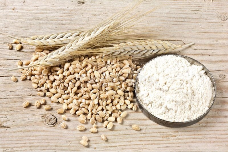 Bakery Wheat Flour Germ Bread Flour for Sale