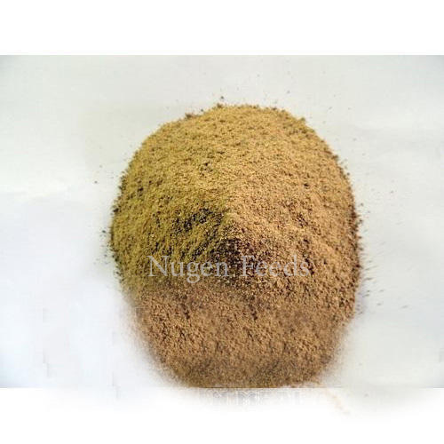 Nugen 45 % Rice Gluten, PP Bag, Packaging Size: 40 kg