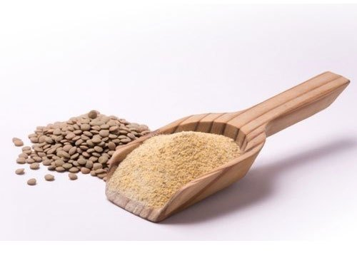 Lentil Protein Powder 70%, Packaging Size: 20 Kg