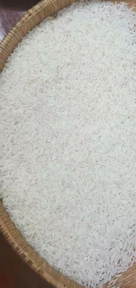 Indian Rice IR 64