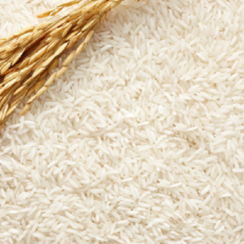 Seeraga Samba Rice, Packaging Type: Plastic Bag, Packaging Size: 25 Kg