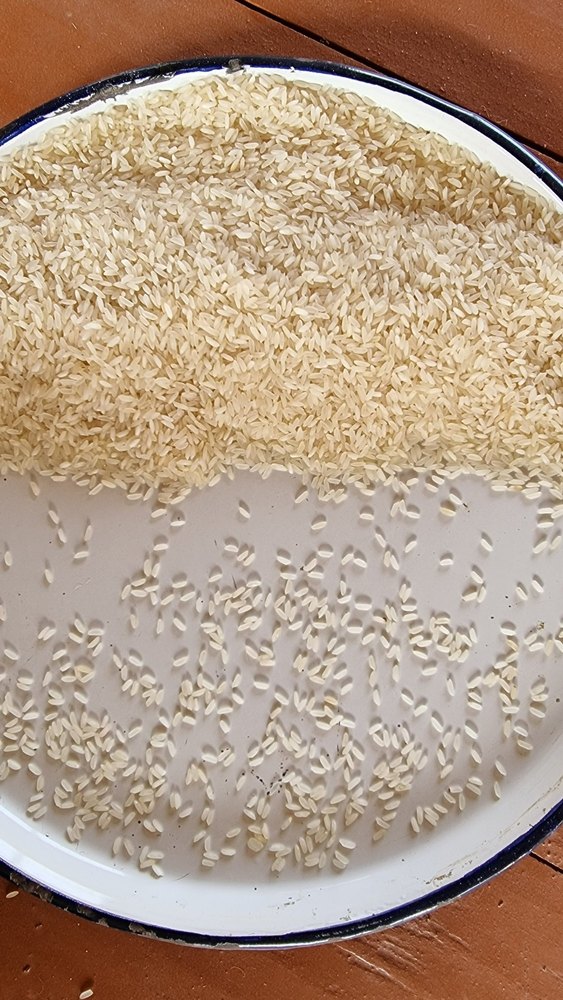 White A Grade Katarni Rice, Loose