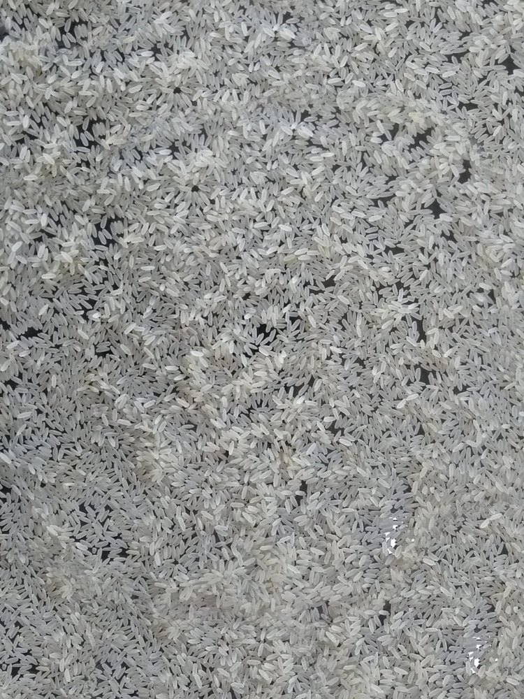 Katarni Raw Rice, Packaging Type: Jute Bag, Packaging Size: 1000 kg