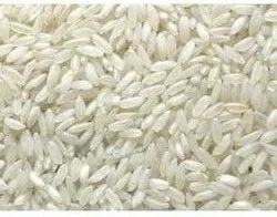 Swarna Non Basmati Rice