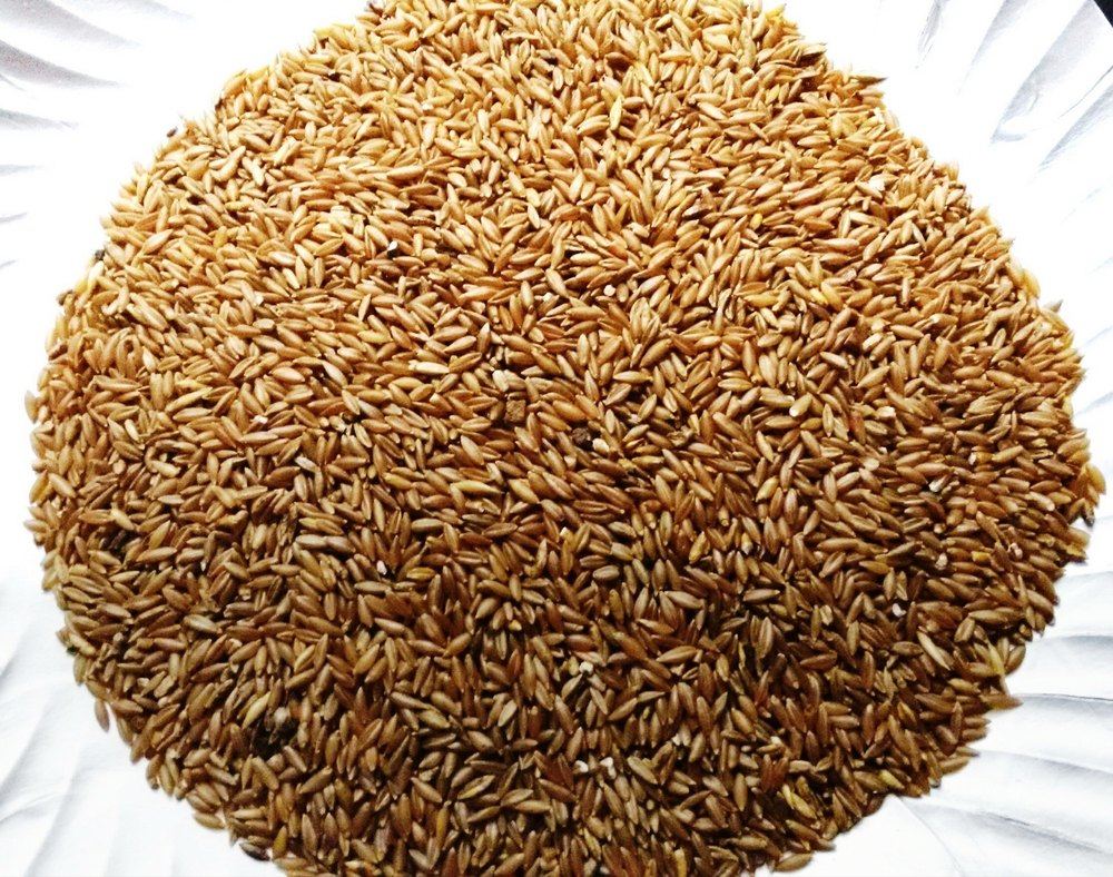 Stone Age Indian Bamboo Rice, Gluten Free