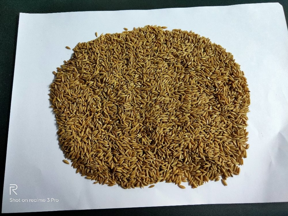 Bamboo Rice Moongil Rice, Packaging Type: PP Bag, Packaging Size: 25-50 Kg