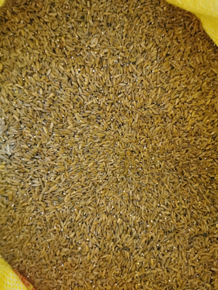Organic Bamboo Rice, Packaging Type: Gunny Bag