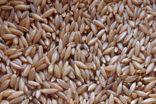 Indian Bamboo Rice Moongil Arisi, Organic