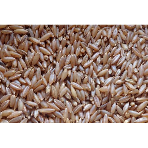 Organic Brown Bamboo Rice, Packaging Type: PP Bag, Packaging Size: 5 kg