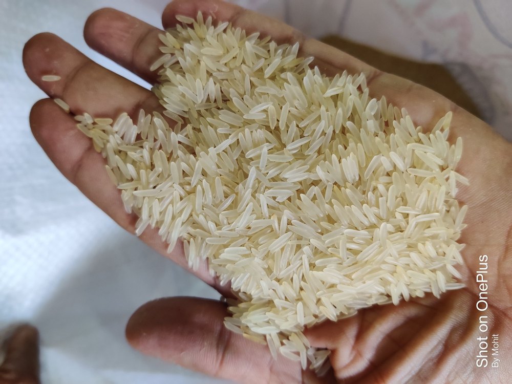 Golden Banskathi Parboiled Rice, Packaging Size: 25 Kg, Packaging Type: PP Bag