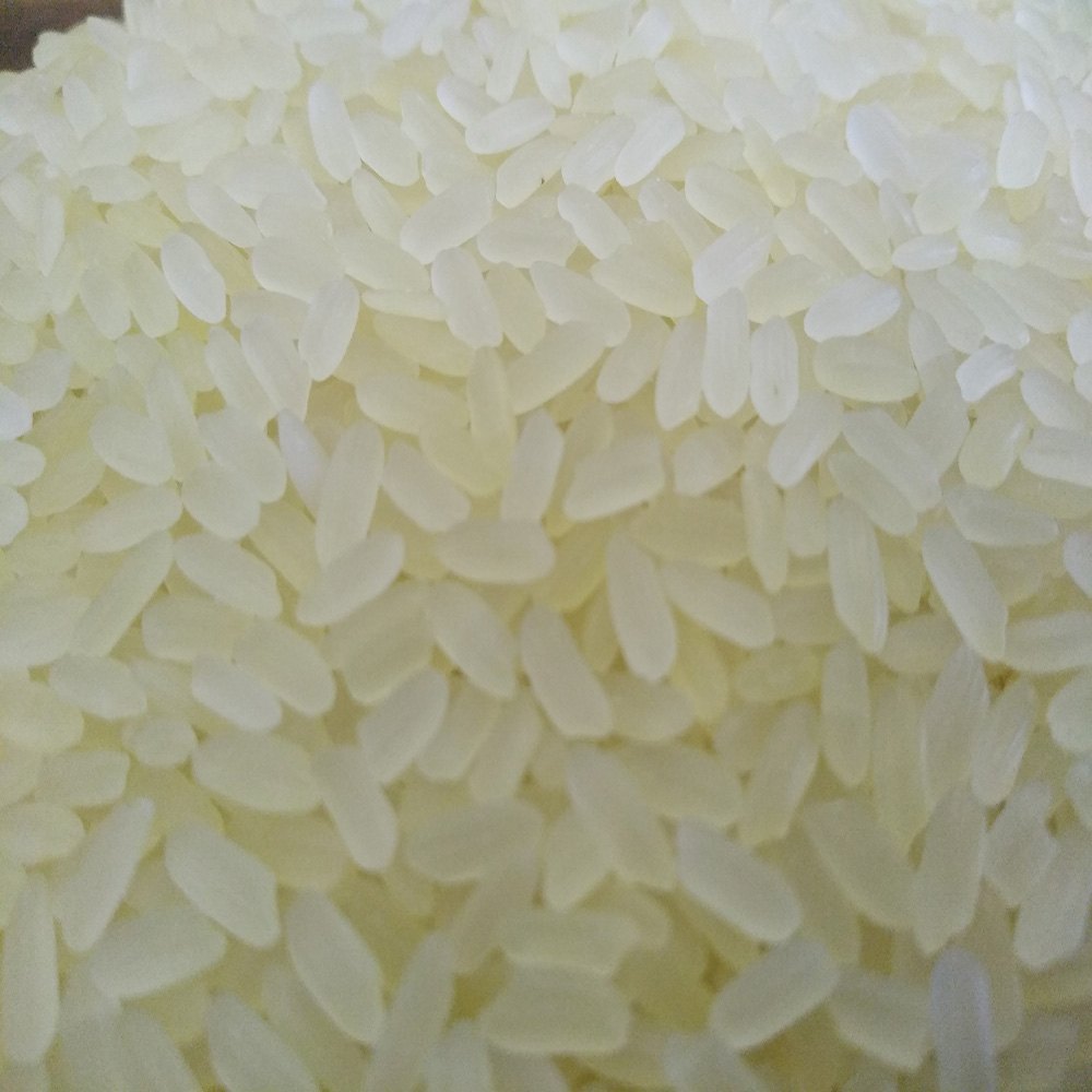 IR 8 Short Grain Rice