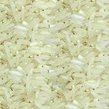 IR-8 Rice