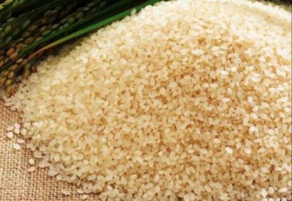 Sankskriti Kon Joha Rice, Packaging Type: PP Bag, Packaging Size: Upto 50 Kg