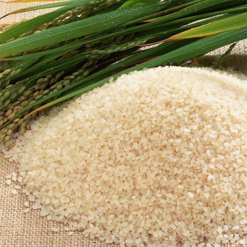general Aromatic Joha Rice, Packaging Type: Plastic Bag, Packaging Size: 5 Kgs