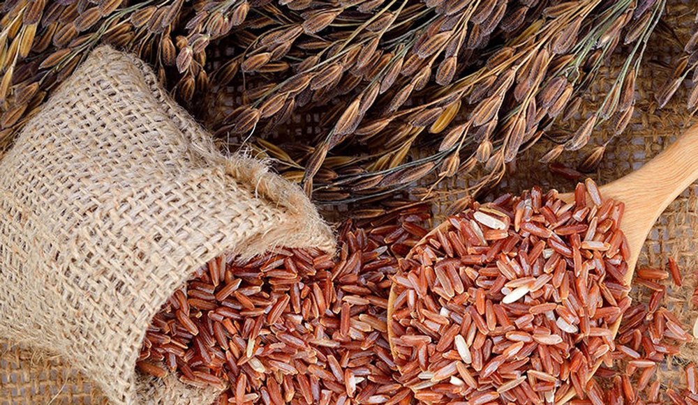 Gayatri NAVARA Red Rice, Packaging Type: Plastic Bag, Packaging Size: 25 Kg