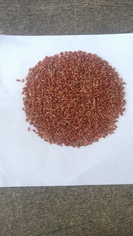 Navra Rice
