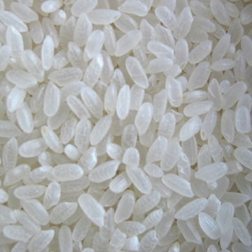 ADT 36 Rice