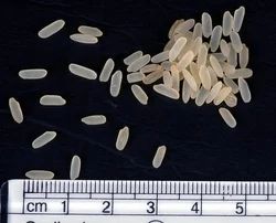 Surekha (Par Boiled Rice )
