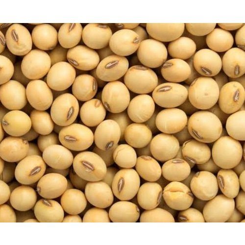 Soyabean, 50 Kg