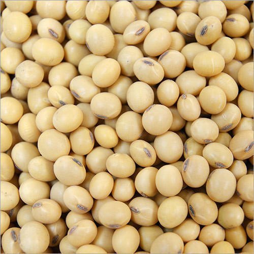 Powder Soy Bean
