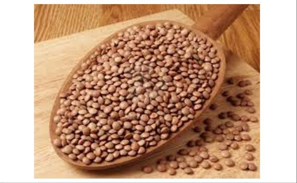 Ashwmegh Black Masoor Dal, Pan India, Packaging Size: 1 to 50 Kg