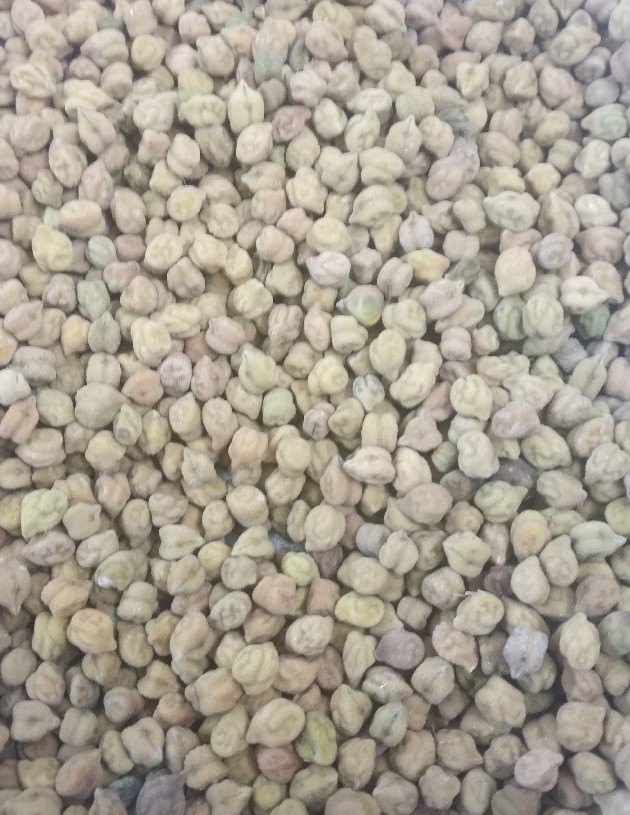 White Chane, High in Protein, Packaging Type: Bag