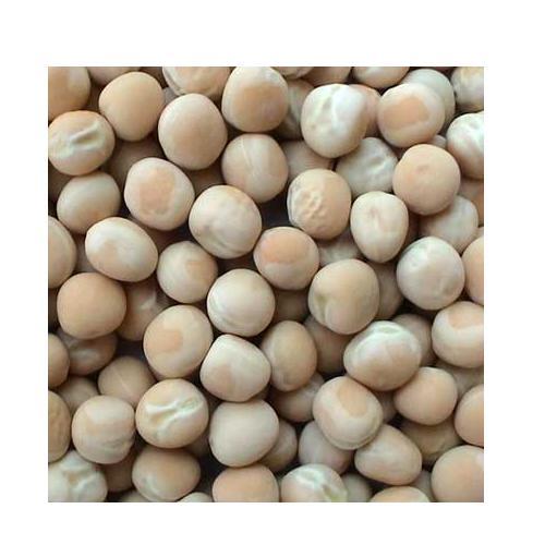 Indian Organic White Dry Peas