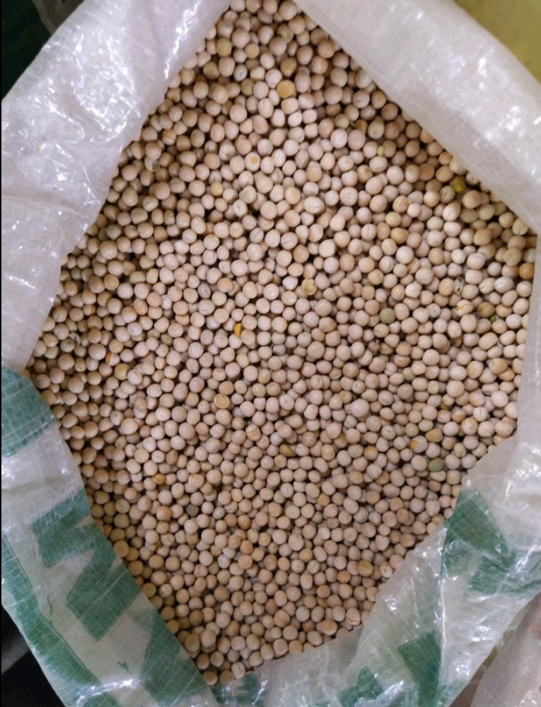 White Dried Peas, High in Protein