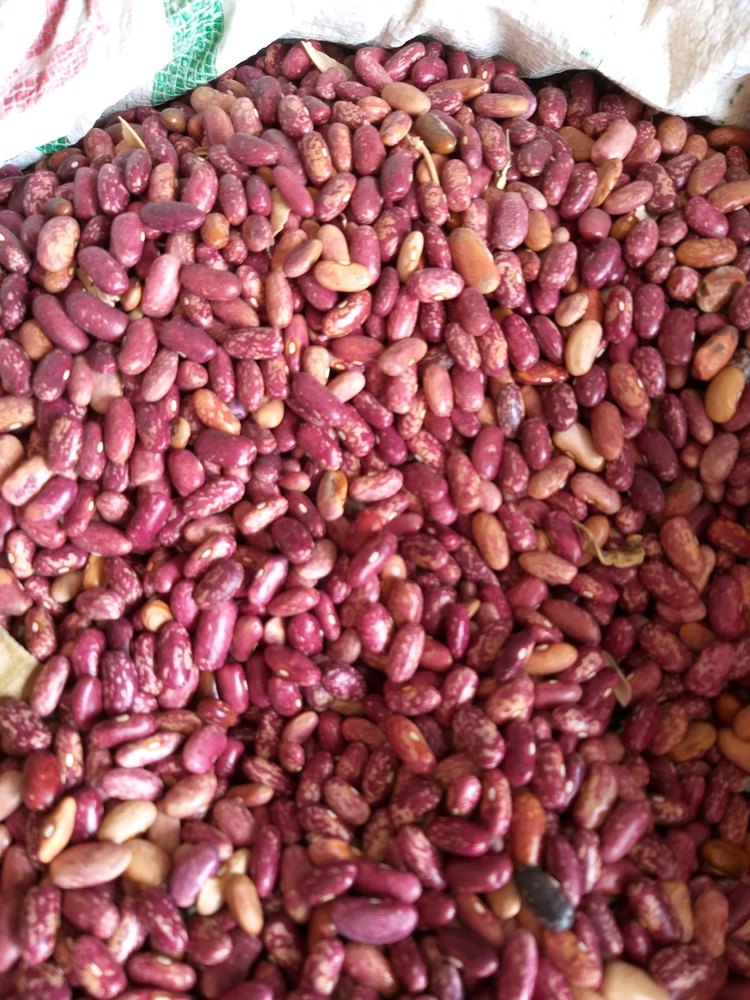 Moong Rajma Chitra Kashmiri, J & K, Organic