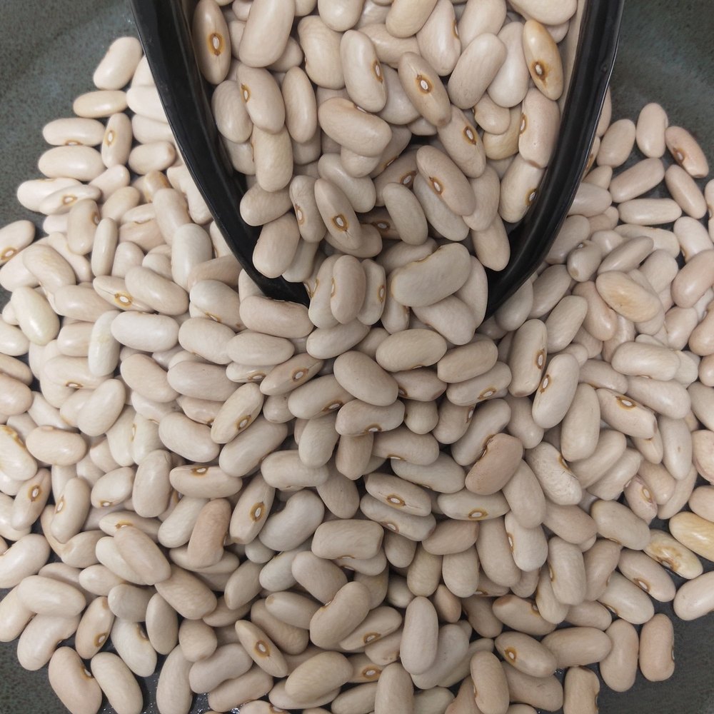 Annadya Munsyari Rajama Munsiyari Rajma, uttarakhand, Organic