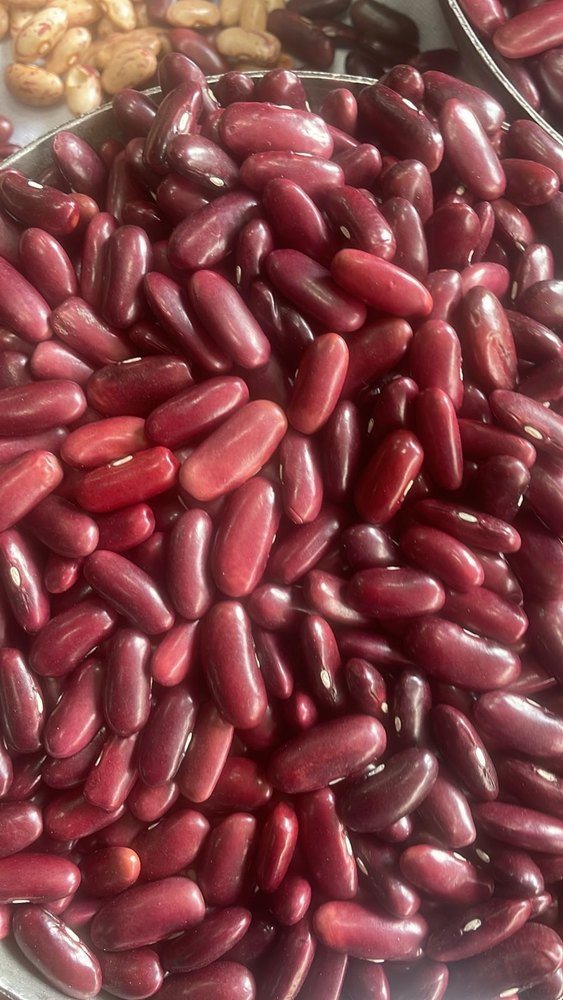 Red Lal Rajma, High in Protein, Loose