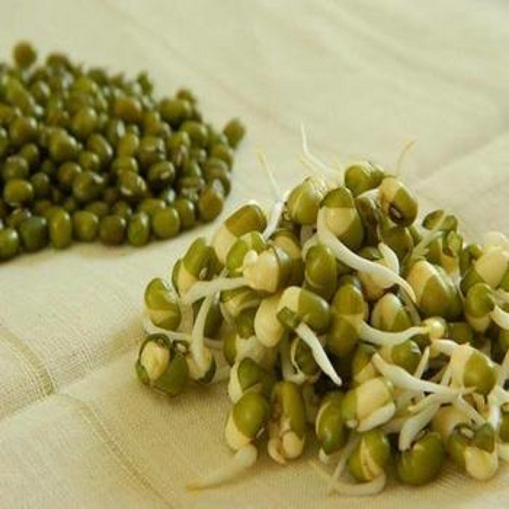 Eeva Dehydrated Sprouted Moong, High in Protein, Packaging Size: 5 Kg
