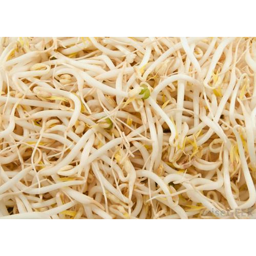 Bean Sprout, Gluten Free