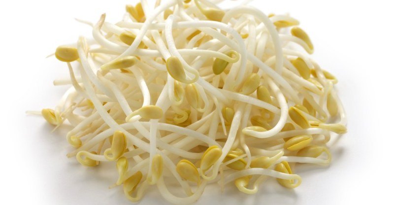 Beans Sprouts 5 Kg