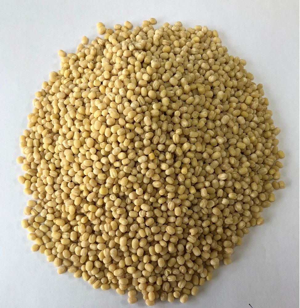 Urad Gotta Whole Urad Without Skin, High in Protein, Packaging Size: 25 KG