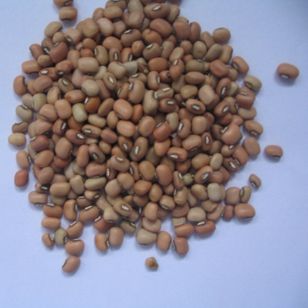 Good Health Foundation Organic Cowpea Dal