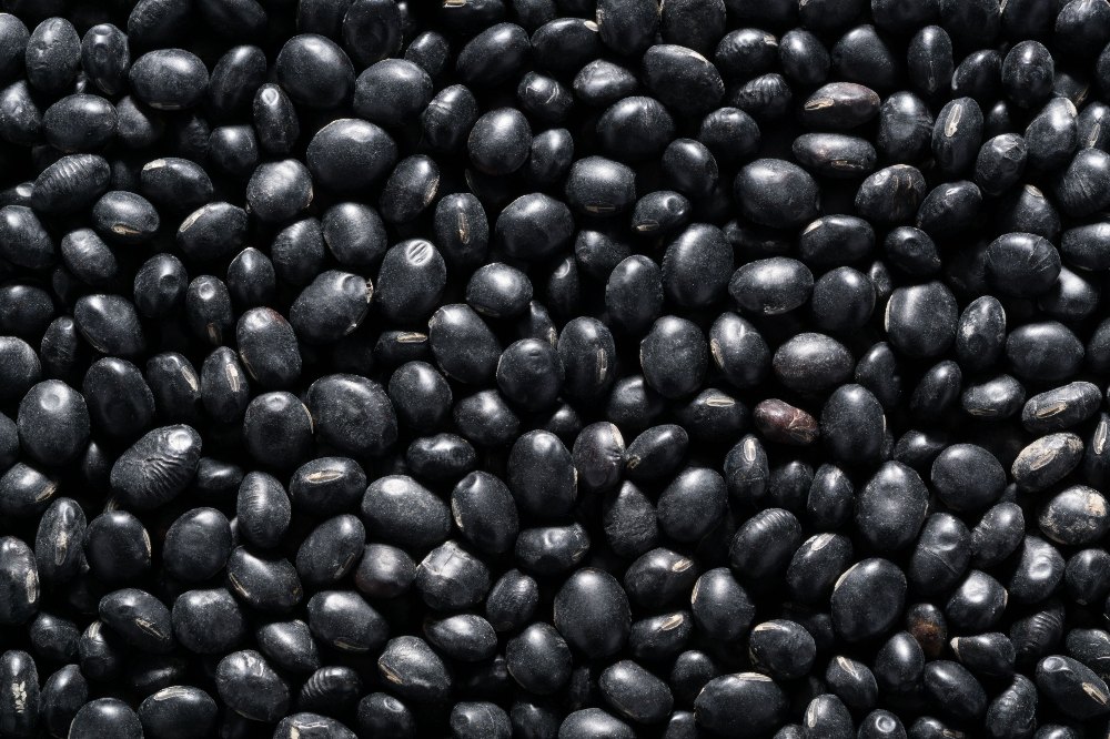 Dried Black Bean, High in Protein, Packaging Size: 50 kg