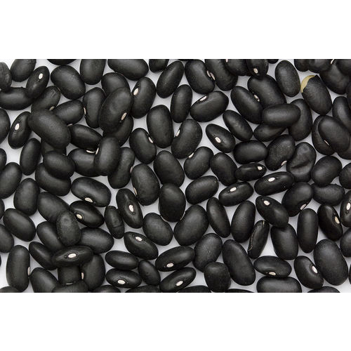 Black Beans