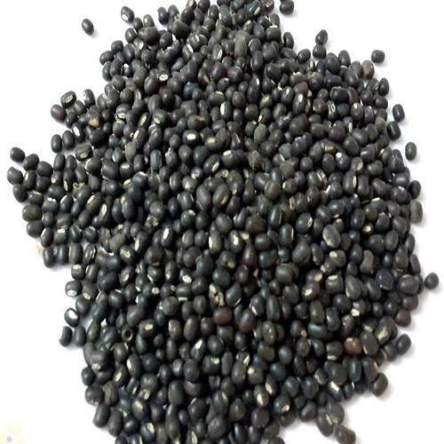 Indian Black Gevda half dal, High in Protein, Packaging Size: 100 Gm - 100 Kg