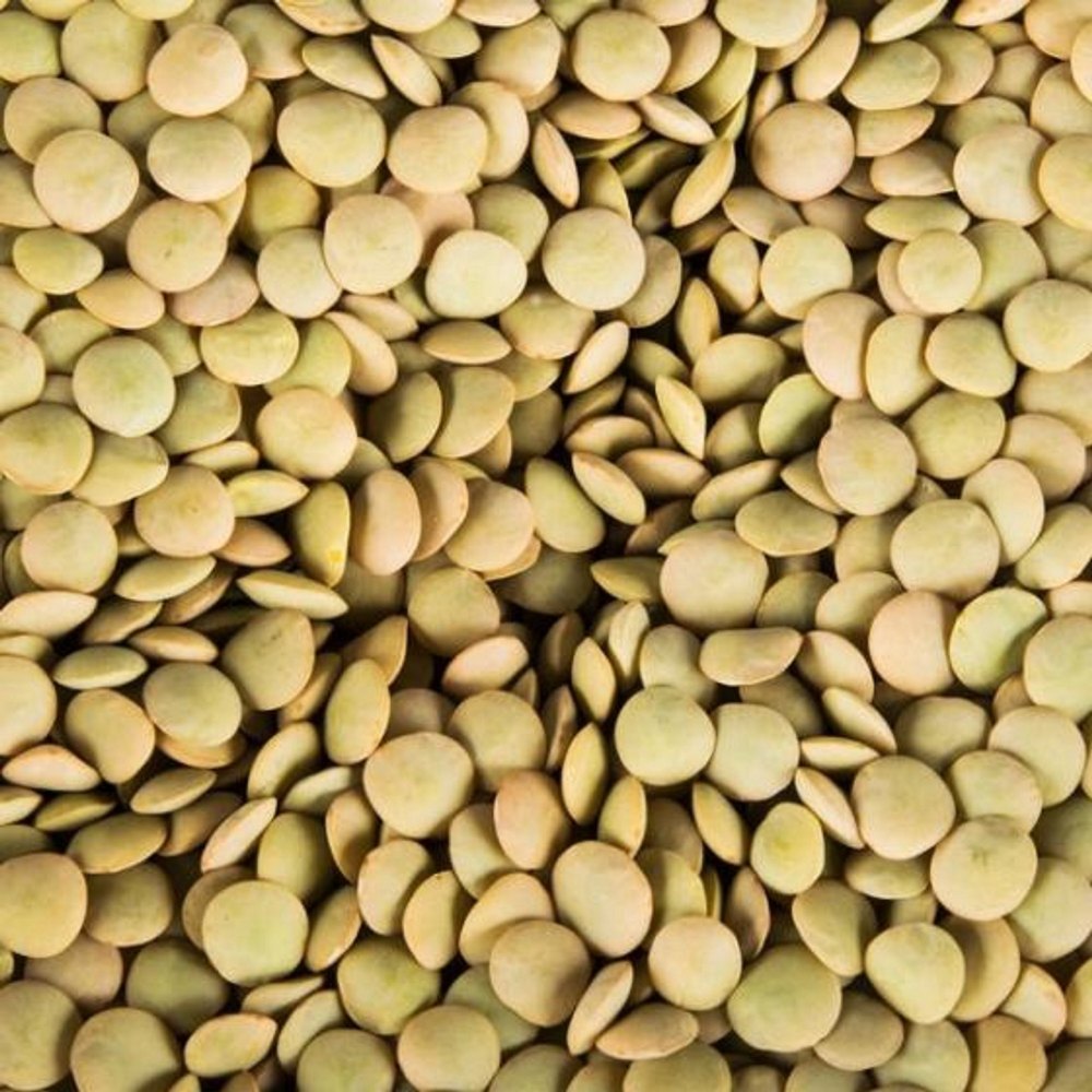 Aashirvad Moong Good Quality Lentils, Pan India, Packaging Size: 50 Kg