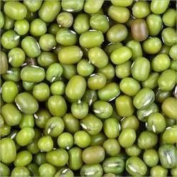 Fresh Green Moong