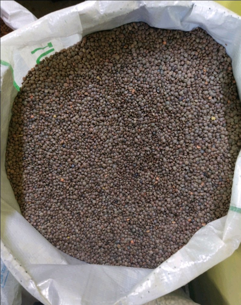 Black Organic Sabut Masoor Dal, High in Protein