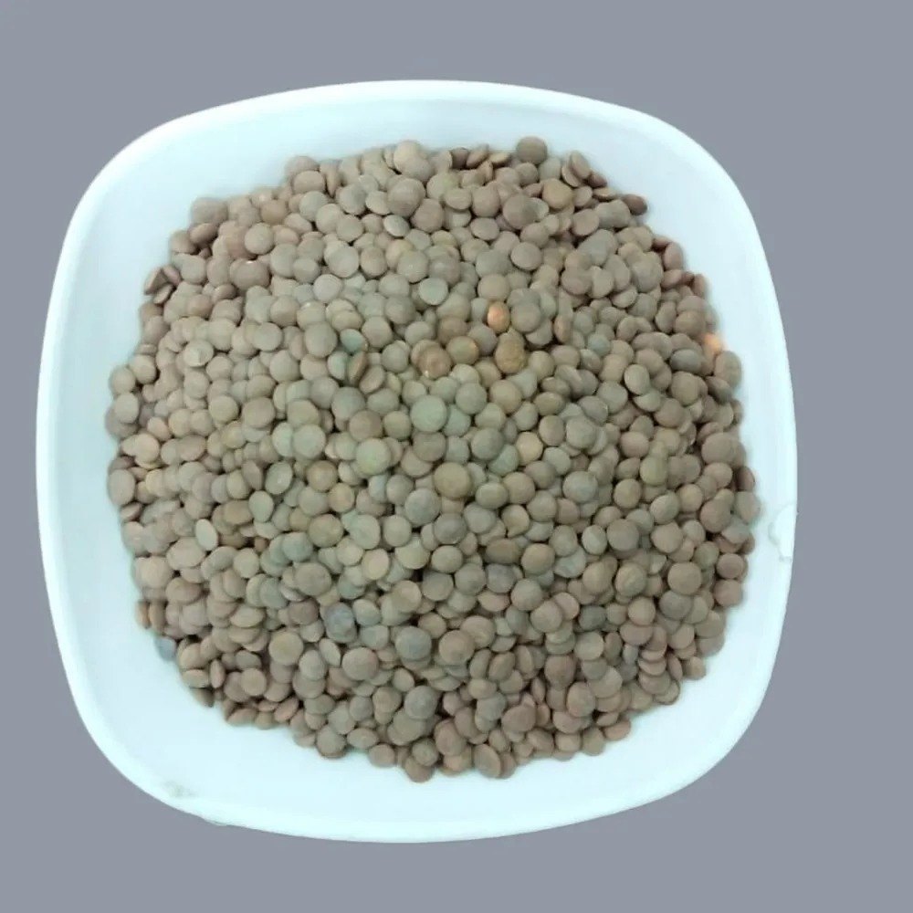 Sabut Black Masoor Dal, High in Protein, Packaging Size: Loose