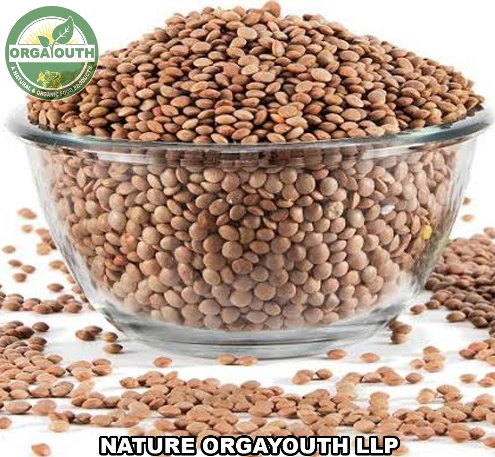 Organic Masoor Whole / Masoor Brown / Lentil, Pan India, Packaging Size: 50 Kg