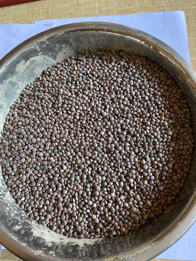 Black Sabut Masoor Dal, High in Protein